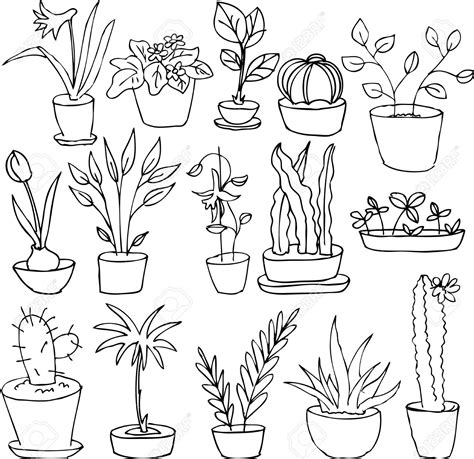 plant drawing|plant outline drawing.